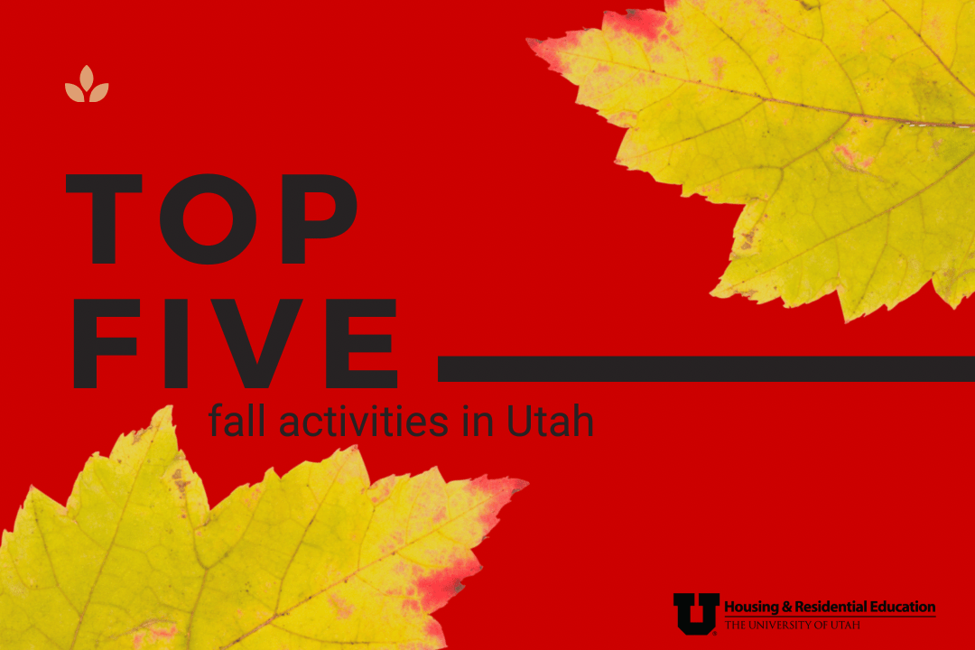 Red background with two yellow leaves and text that reads "Top five fall activities in Utah"